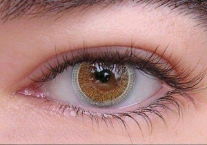 Rahasia Para Ahli Merawat Lensa Mata