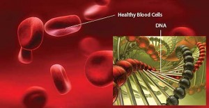 Mengetahui Tentang Sel Darah