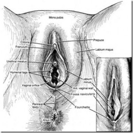 Mengetahui Teknik Operasi Lewat Vagina