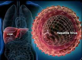 Info Virus Hepatitis C