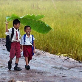 Perjuangan Bocah yang Rela di Guyur Hujan Demi Pendidikan