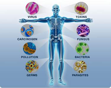Mengetahui Tentang Penyakit Alergi dan Imunologi